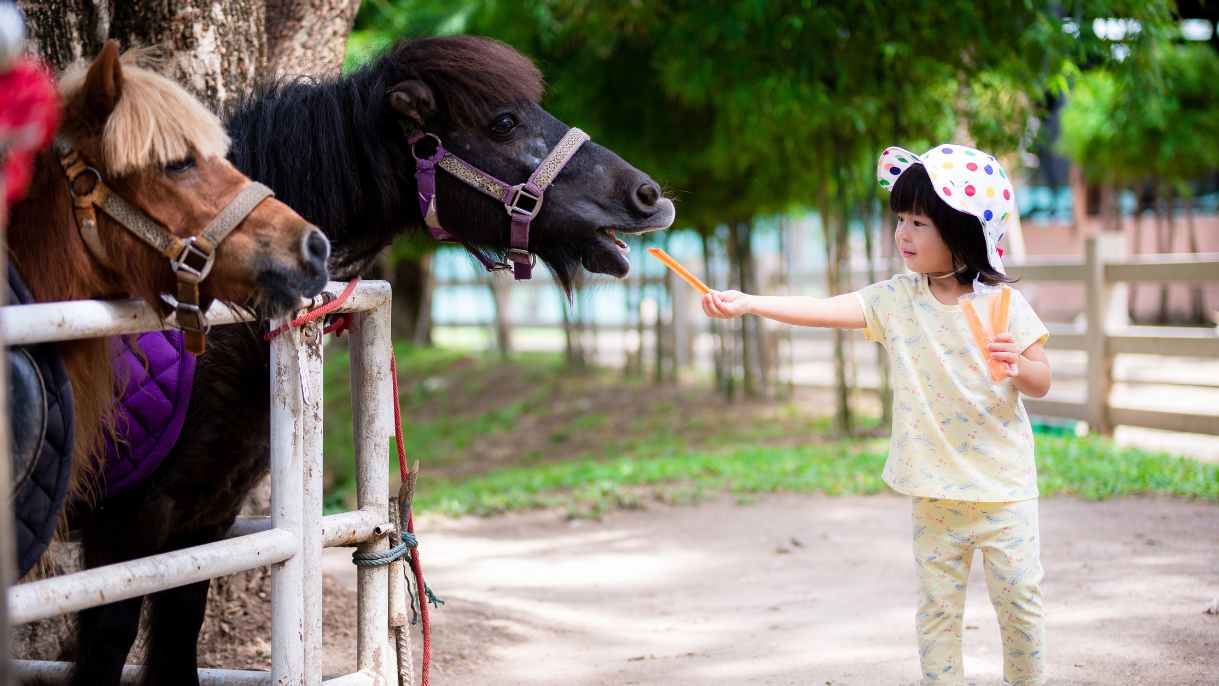 Destinasi Liburan Akhir Tahun di Bandung