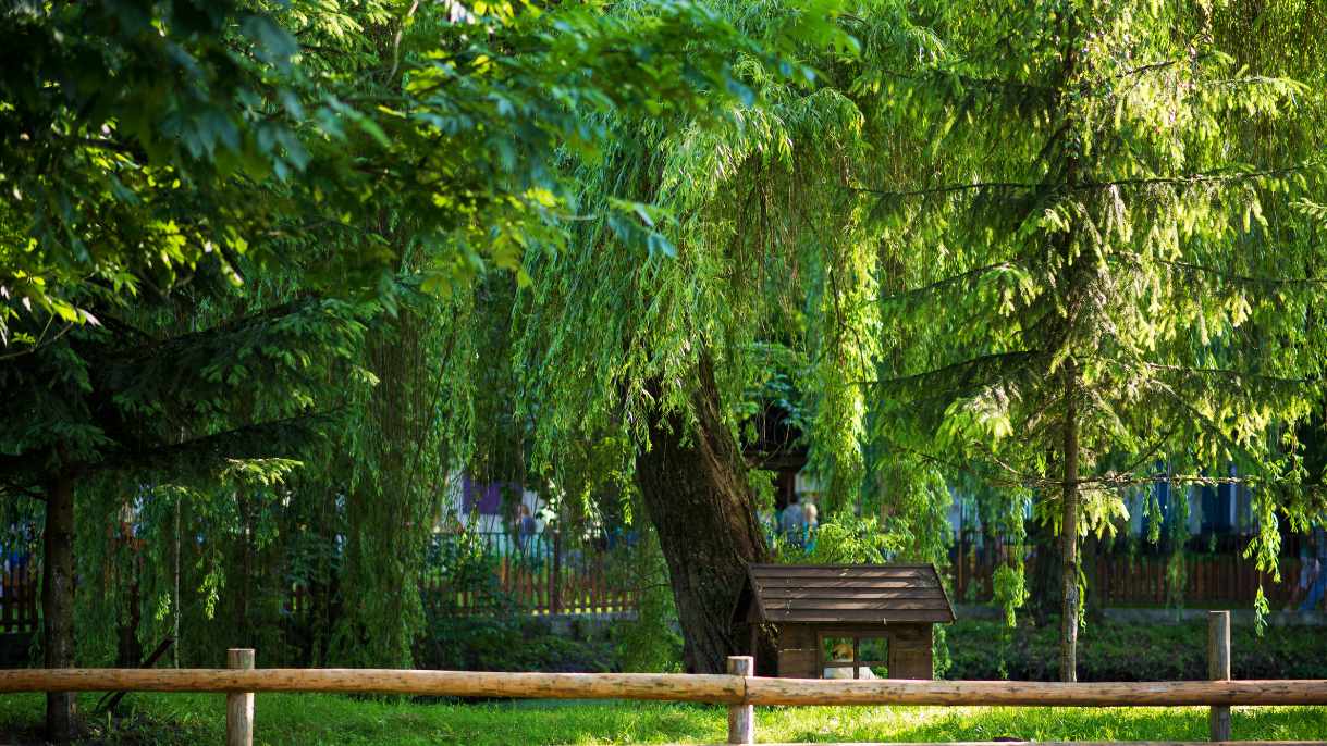 Wisata Lembang Park Zoo