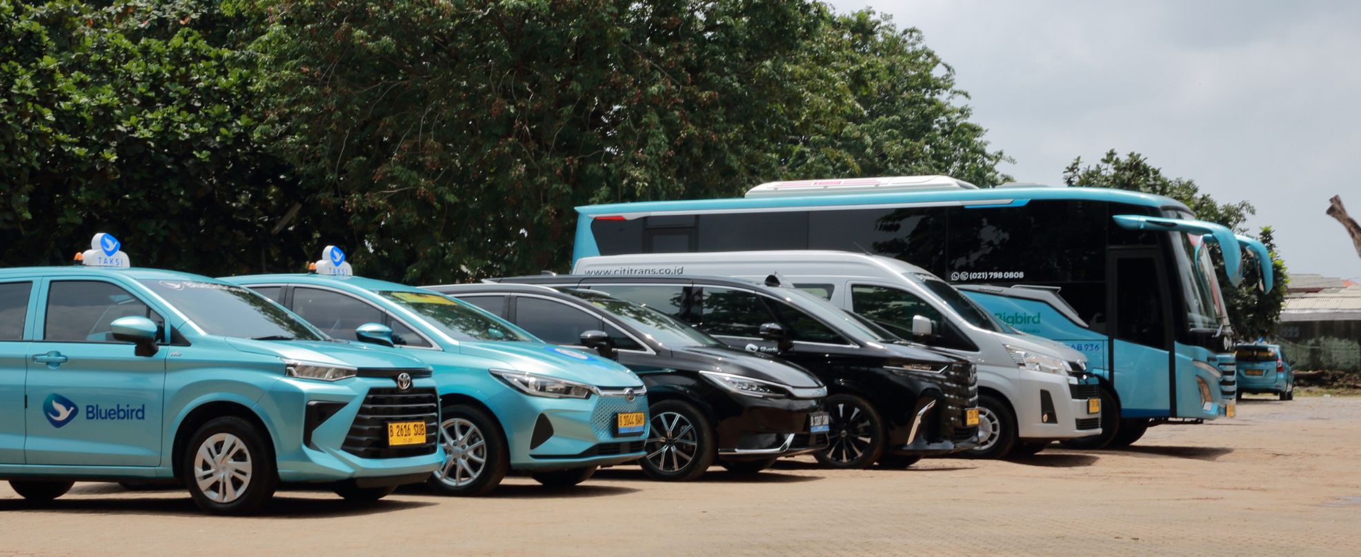 Naik 16% di Kuartal I 2025, Pendapatan Bluebird Konsisten Tumbuh Double Digit